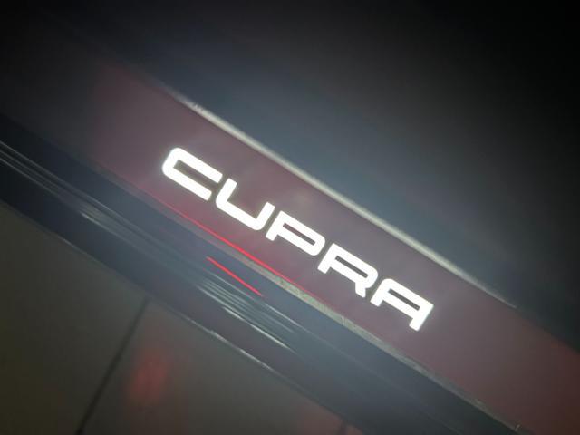 CUPRA Formentor 2.0 TDI 150 CV 4Drive DSG