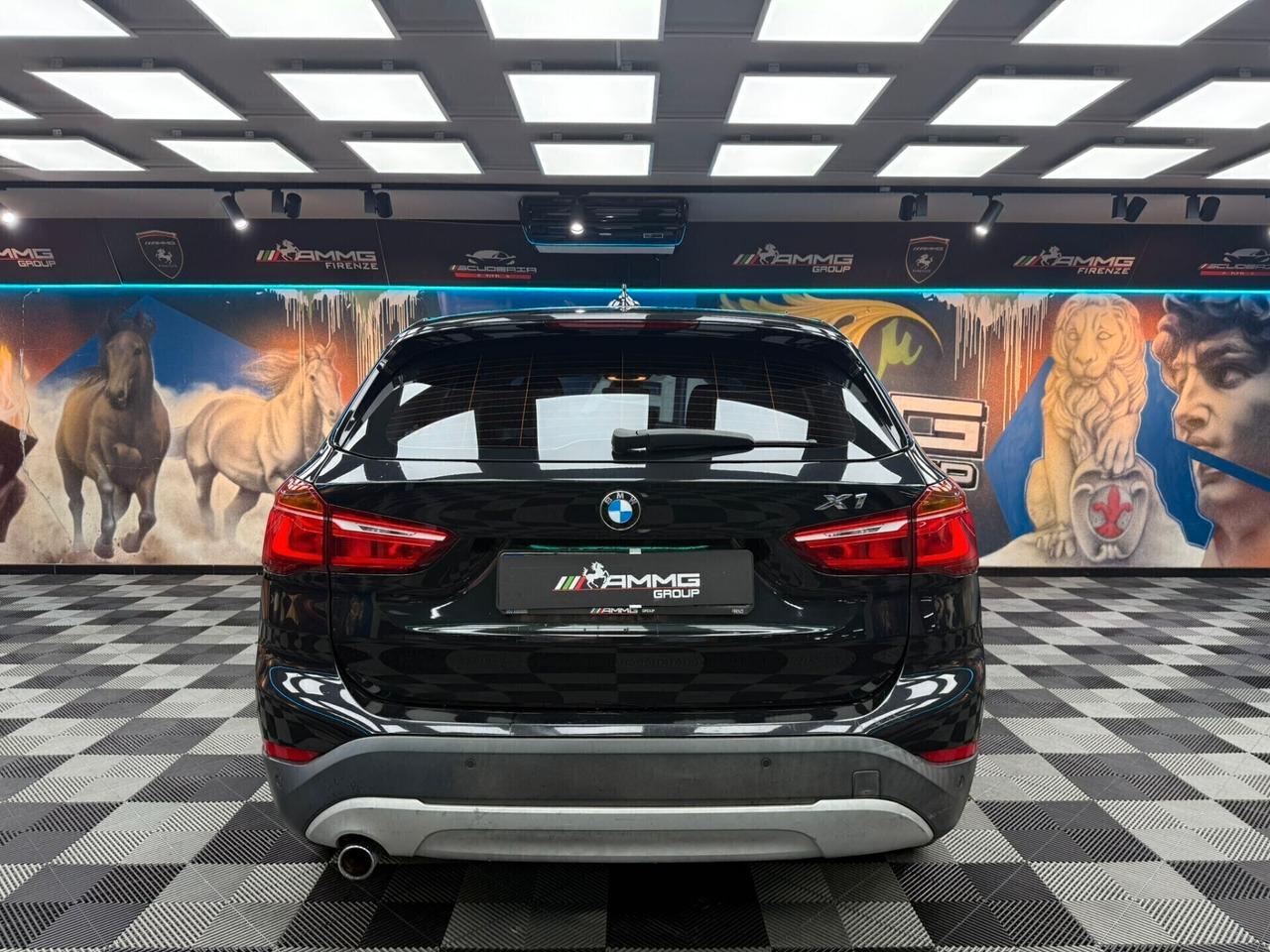 Bmw X1 sDrive18d BUSINESS(489)