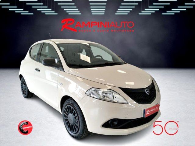 LANCIA Ypsilon 1.2 69 CV 5 porte Elefantino Pronta Consegna