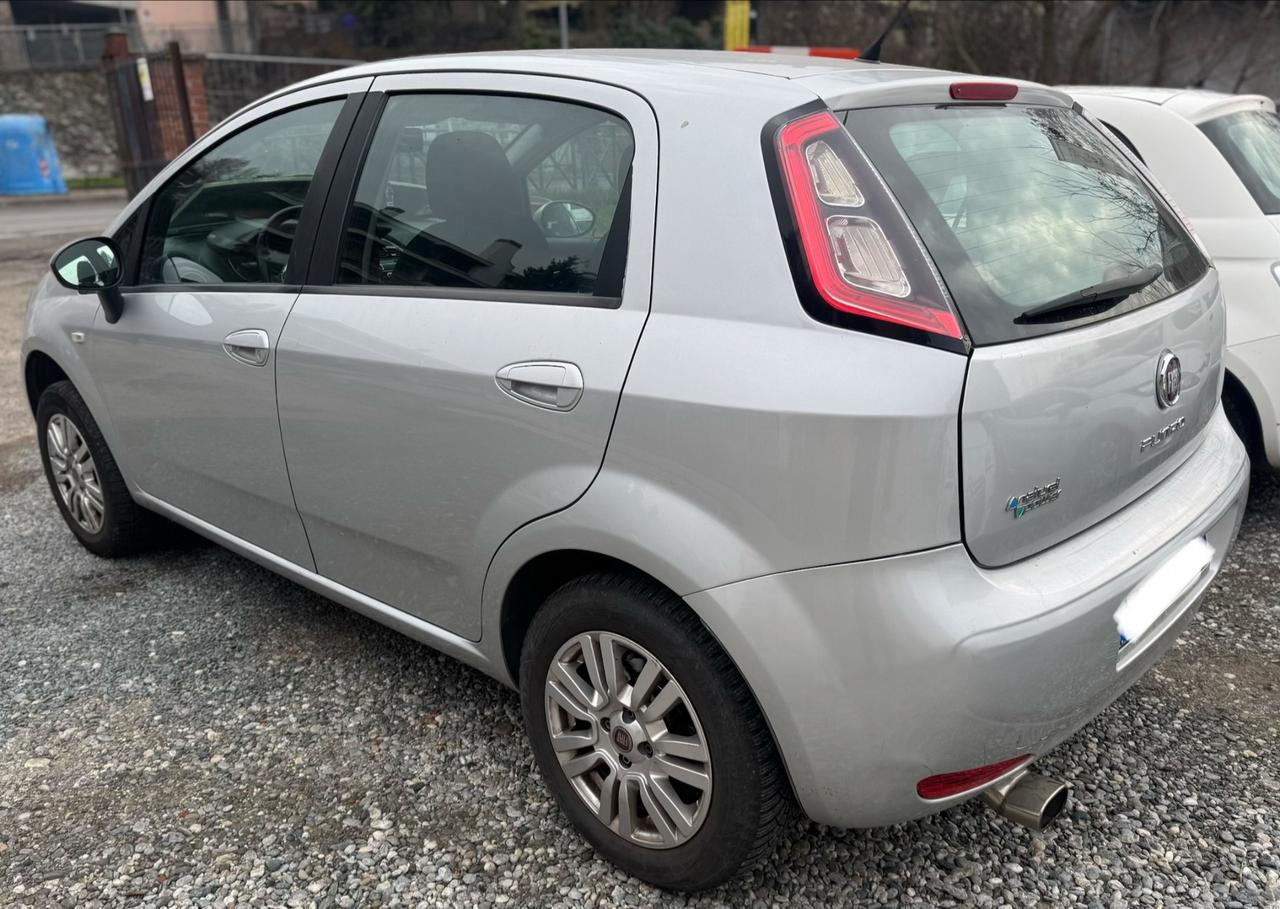 Fiat Punto Evo 1.4 M.Air 16V 5 porte S&S Dynamic