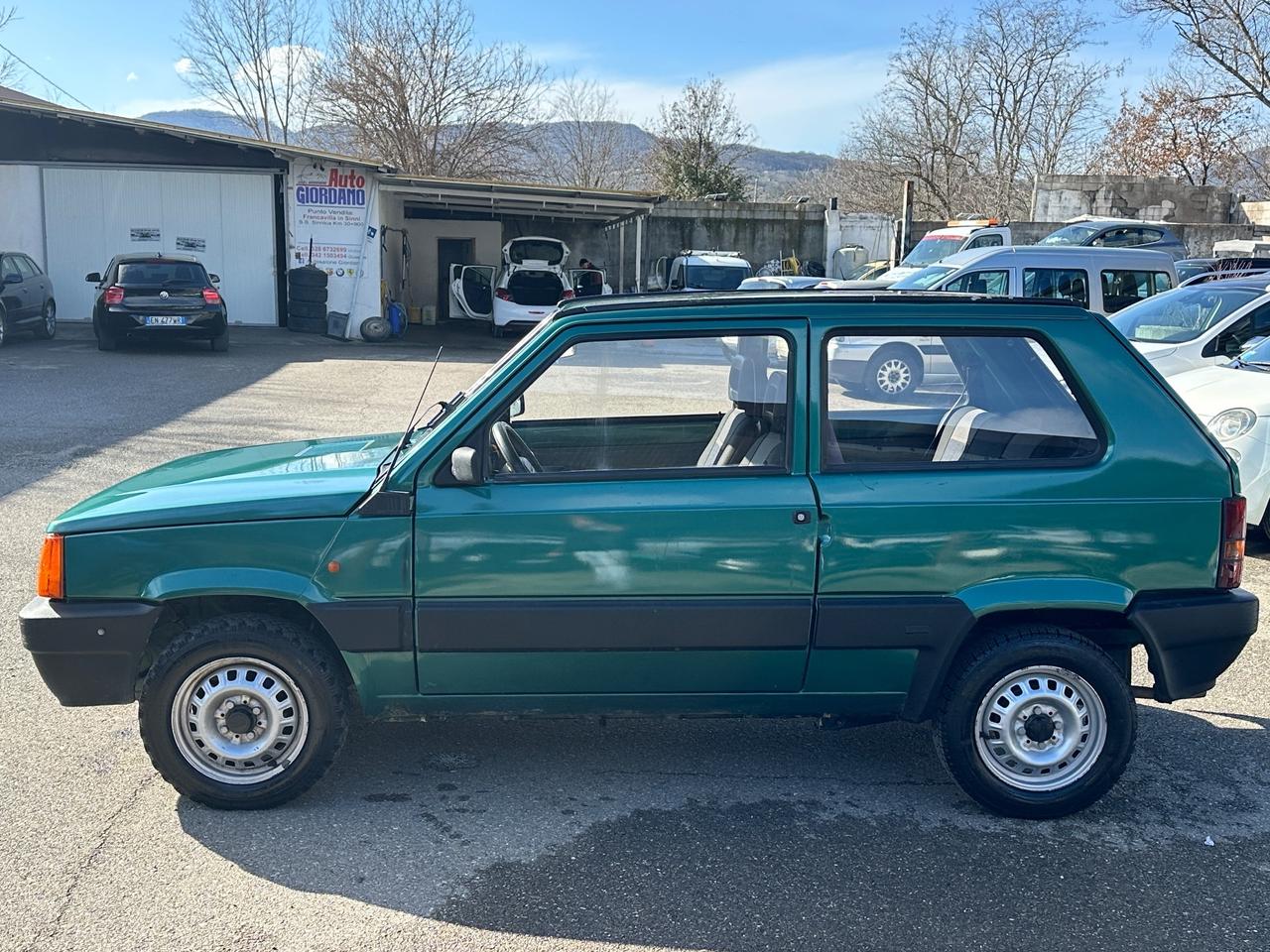 Fiat Panda 1100 i.e. cat Young