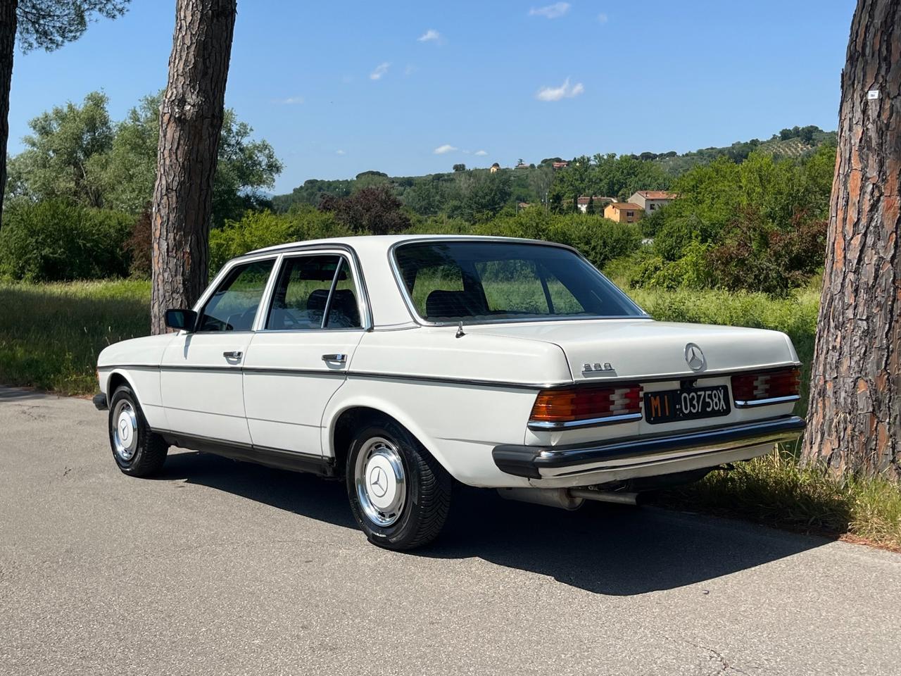 Mercedes benz 200 E w123 - Motore NUOVO