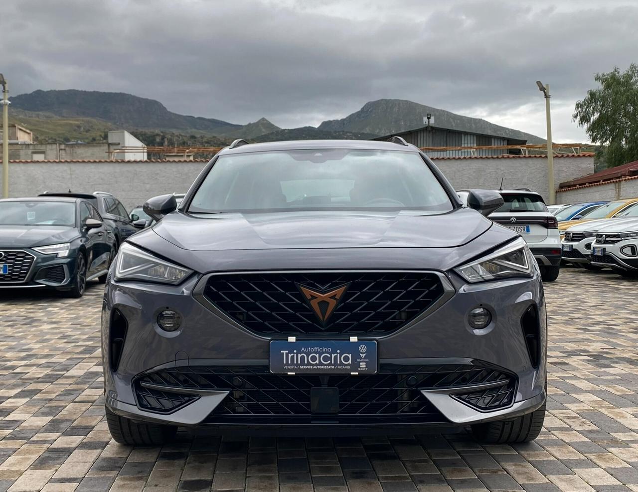 Cupra Formentor 2.0 TDI 150CV DSG 4drive