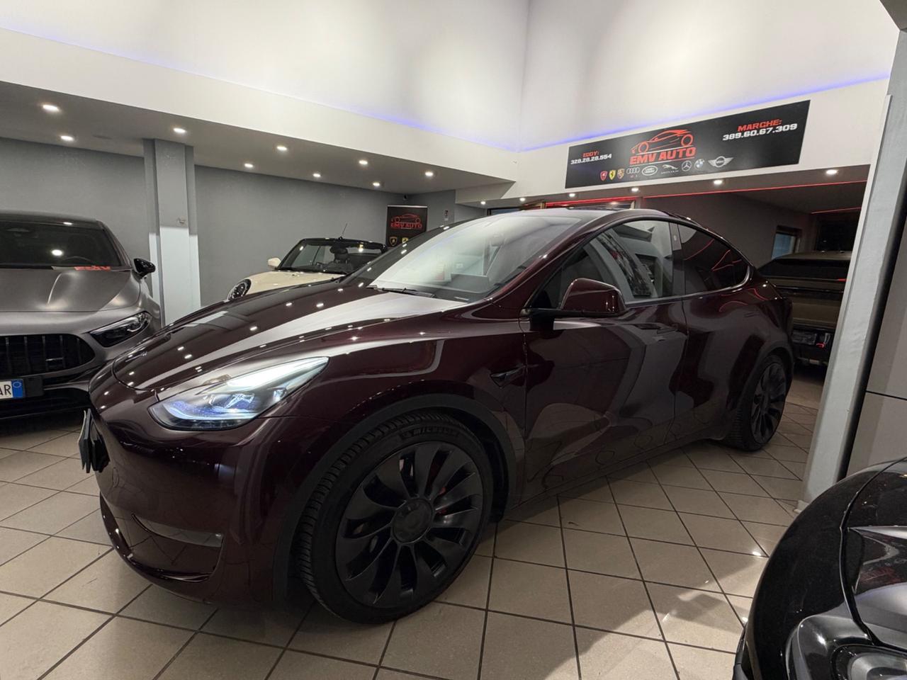 Tesla Model Y AWD Performance Iva esposto