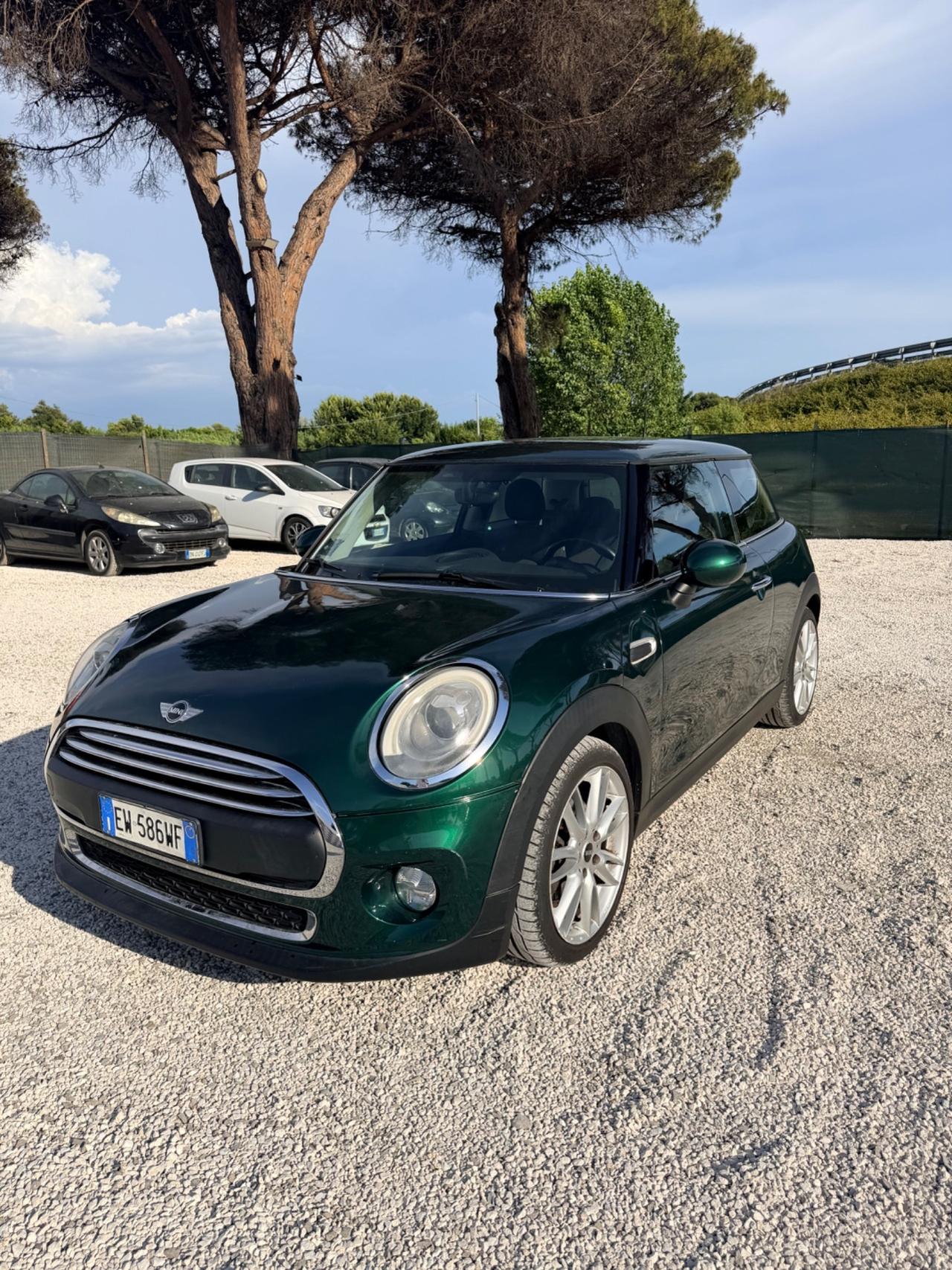 Mini 1.5 One D