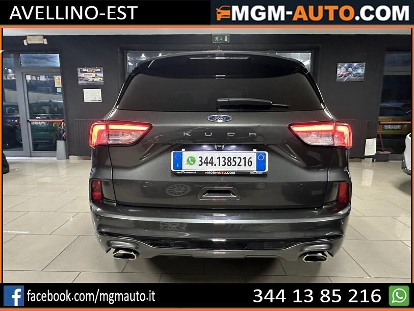 Ford Kuga 1.5 EcoBlue 120 CV aut. 2WD ST-Line X