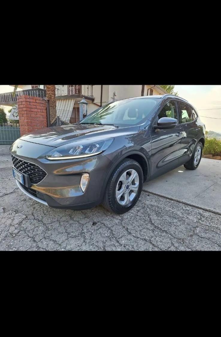 Ford Kuga 1.5 EcoBlue 120 CV 2WD ST-Line X