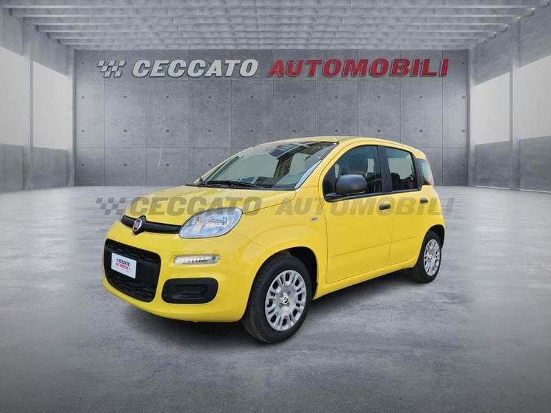 FIAT Panda Panda 1.0 firefly hybrid s&s 70cv