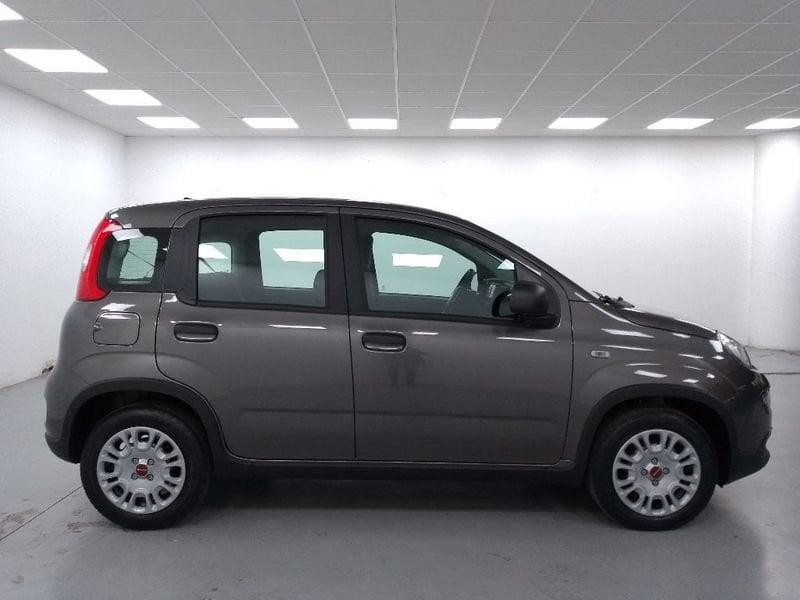 FIAT Panda 1.2 easypower Gpl s&s 69cv