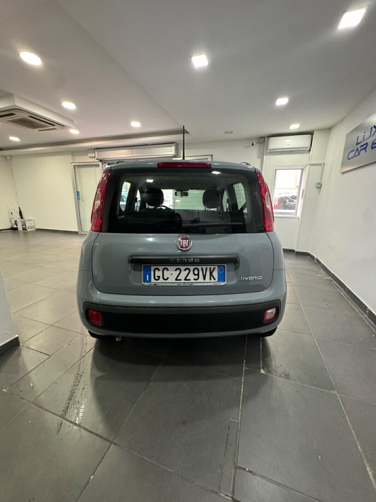 Fiat Panda 1.0 FIREFLY S&S HYBRID PER NEOPATENTATI