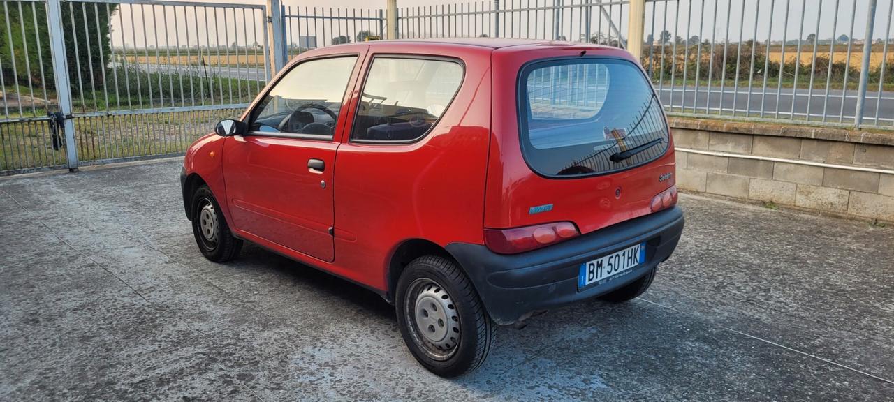 Fiat Seicento 900i cat Young