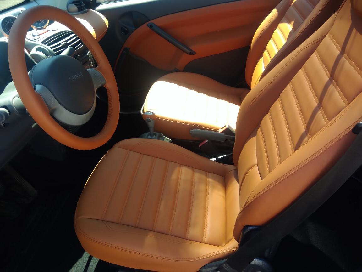 Smart ForTwo 800 coupé pulse cdi TOTALMENTE REVISIONATA CON MOTORE KM ZERO