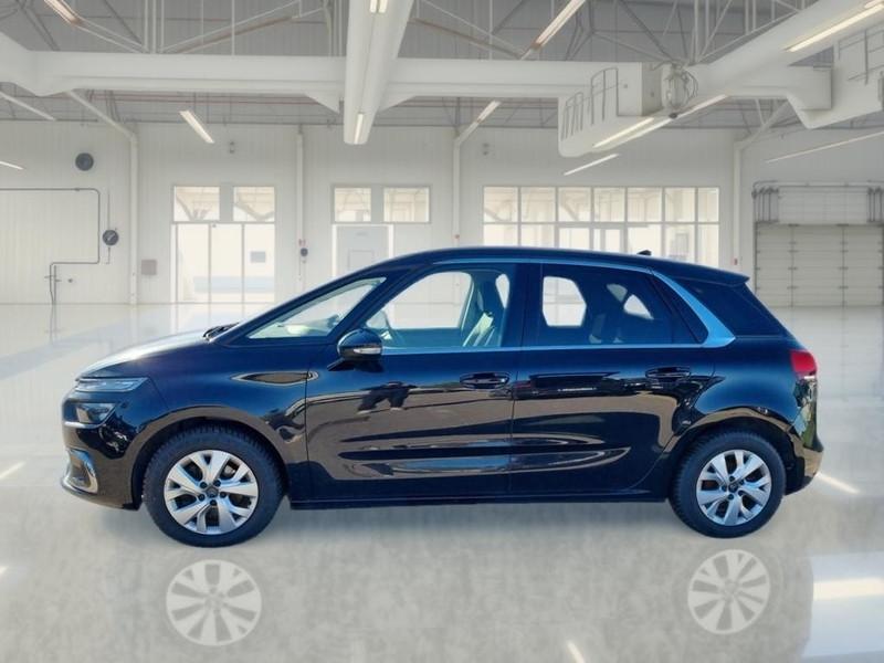 CITROEN C4 SPACETOURER BlueHDi 130 S/S EAT8 Feel