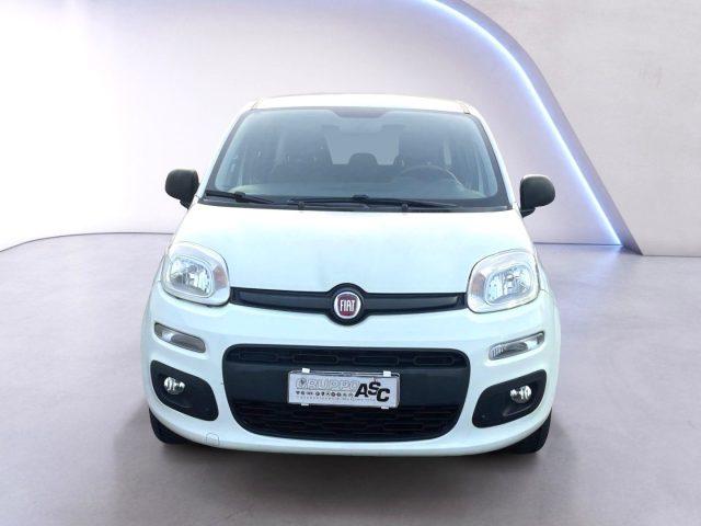 FIAT Panda 1.2 BENZ 69 CV Lounge ADATTA A NEOPATENTATI