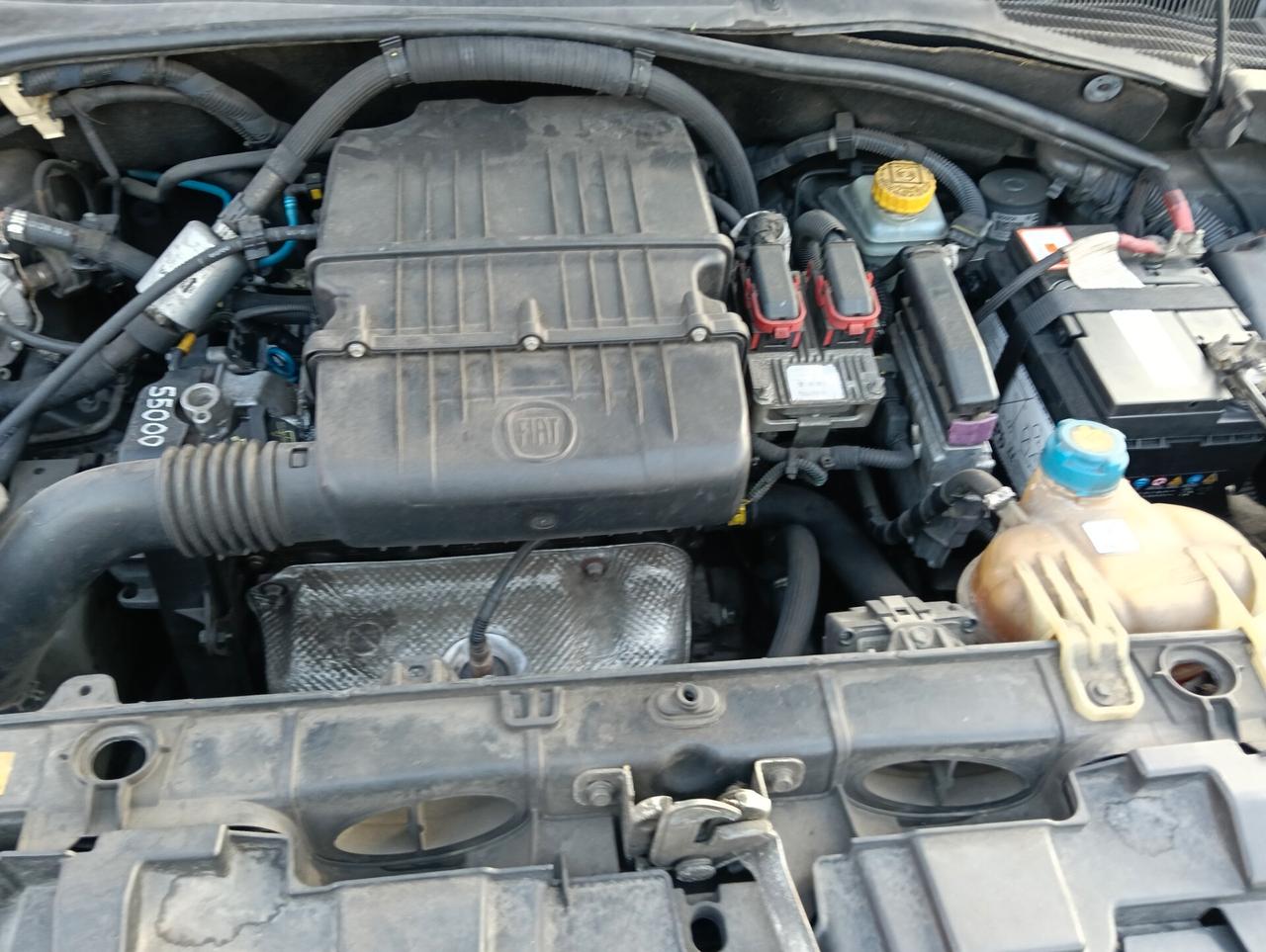 Fiat Punto Evo 1.4 5 porte Emotion GPL