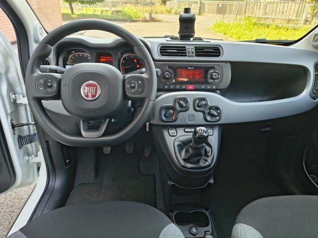 FIAT Panda 1.0 FireFly S&S Hybrid City Life NEOPATENTATI