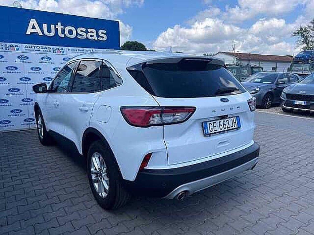 FORD Kuga 1.5 EcoBlue 120 CV 2WD Titanium Business del 2021