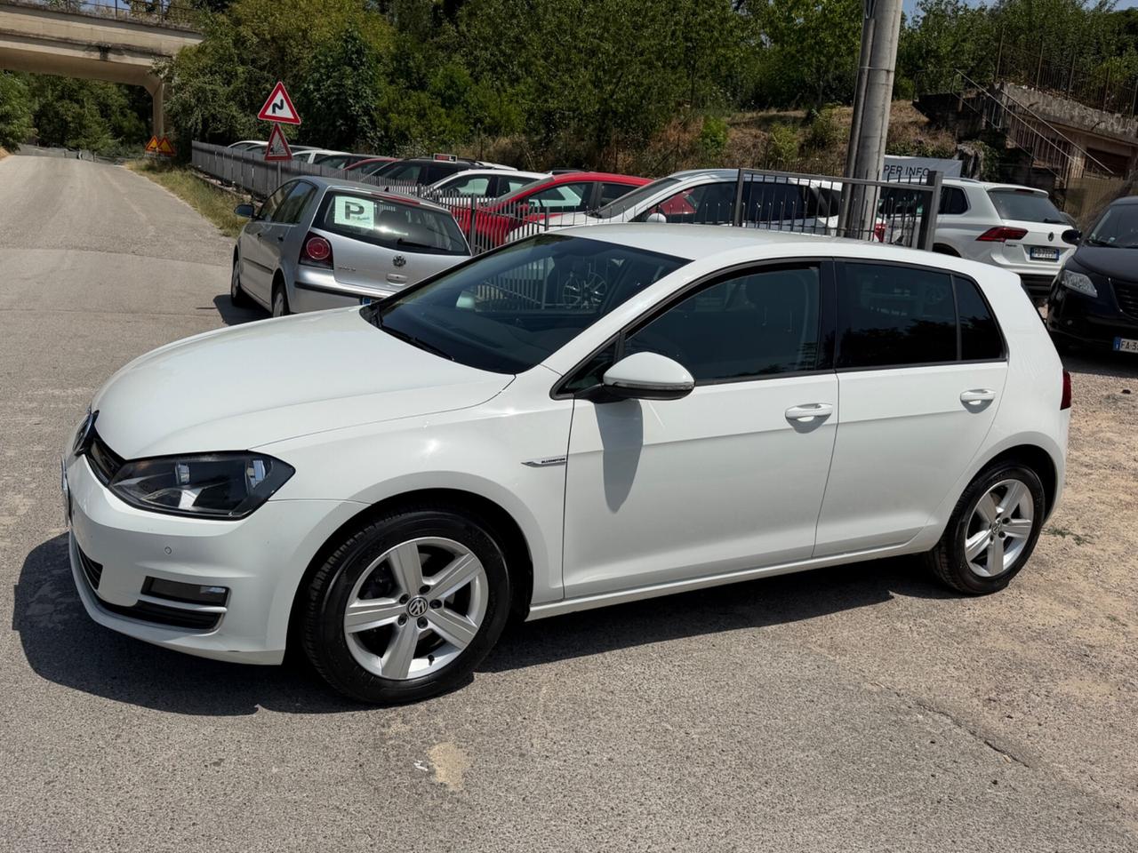 Volkswagen Golf 1.4 TGI DSG 5p. Executive BlueMotion