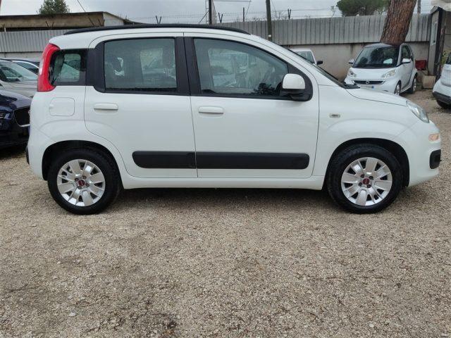 FIAT Panda New 1.2 GPL Lounge CLIMA OK NEOPATENTATI