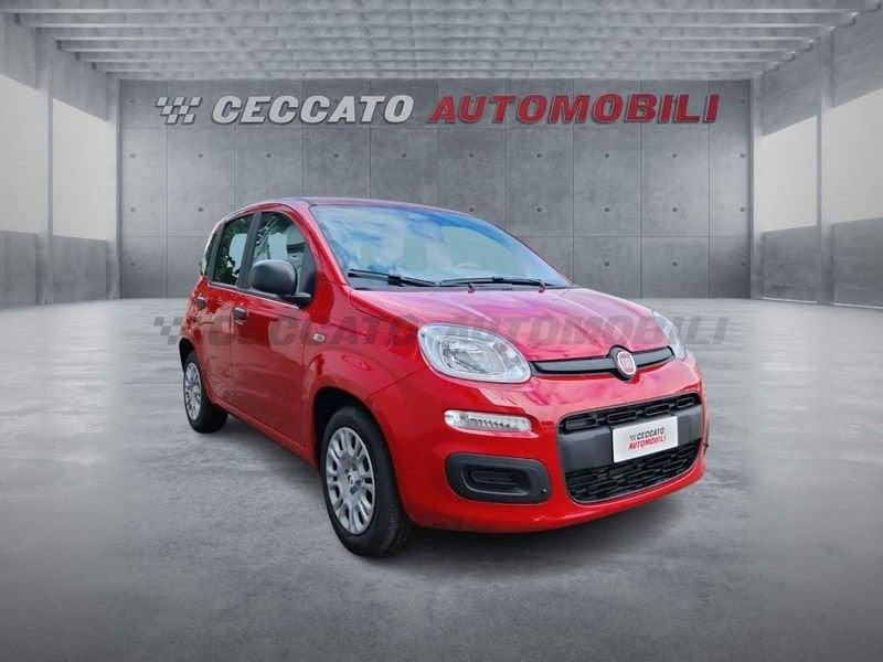 FIAT Panda Panda 1.0 firefly hybrid s&s 70cv