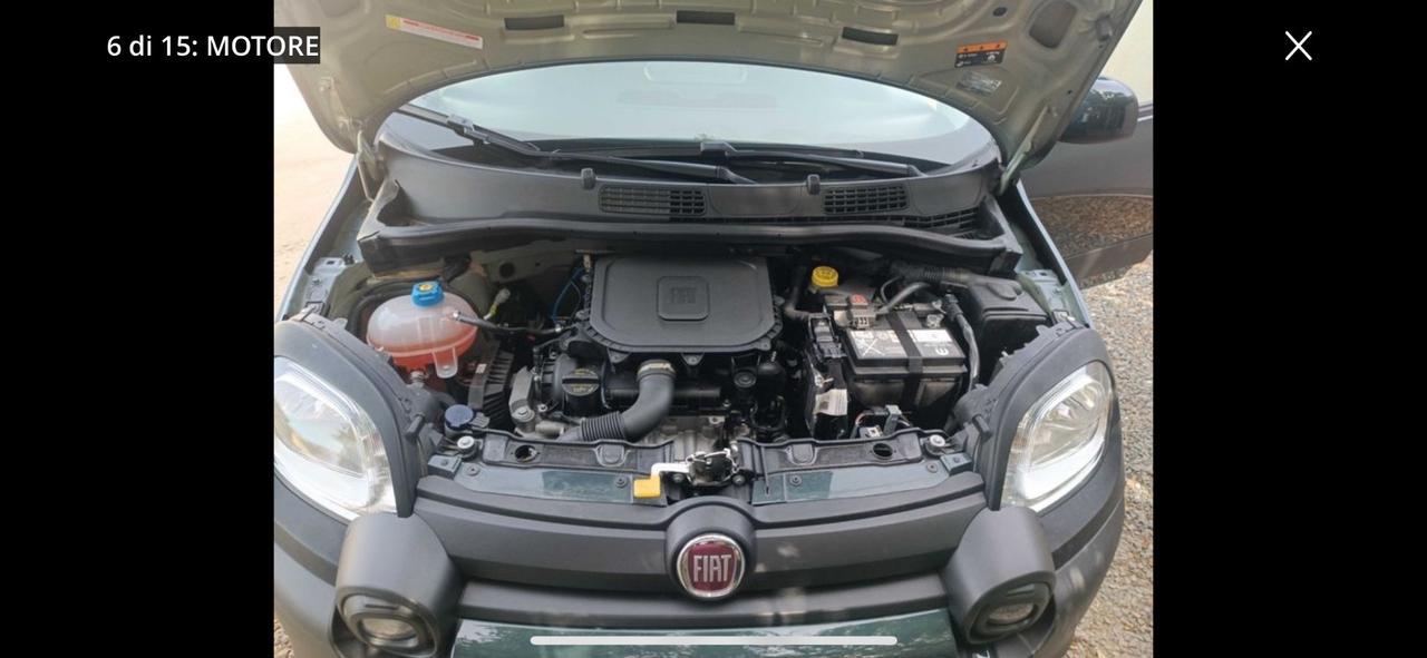 Fiat Panda Cross 1.0 FireFly S&S Hybrid - Nessun vincolo -