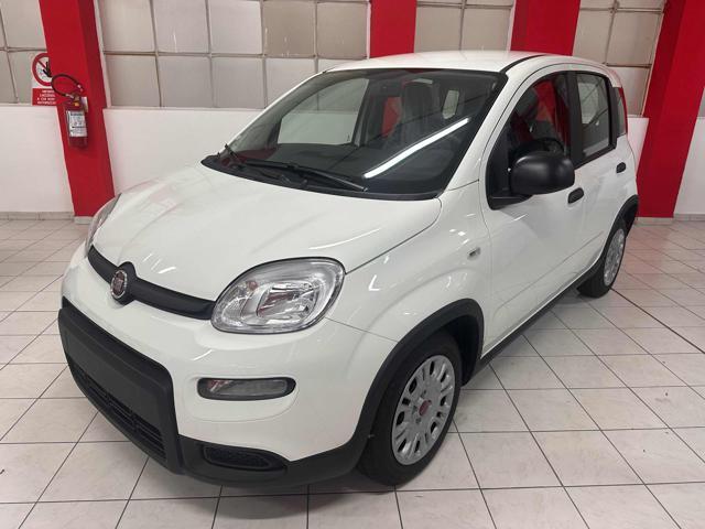 FIAT New Panda NESSUN FINANZIAMENTO !!!