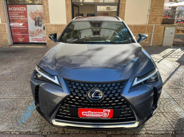 Lexus UX 2.0 Executive 4wd cvt