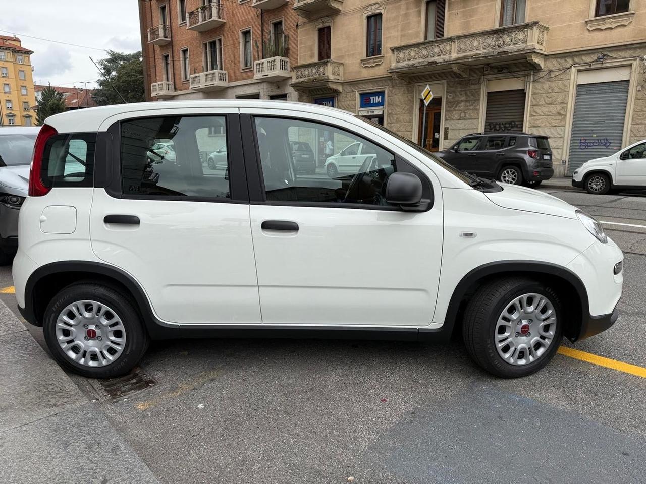 Fiat Panda Easy 1.0 GSE MHEV #6795