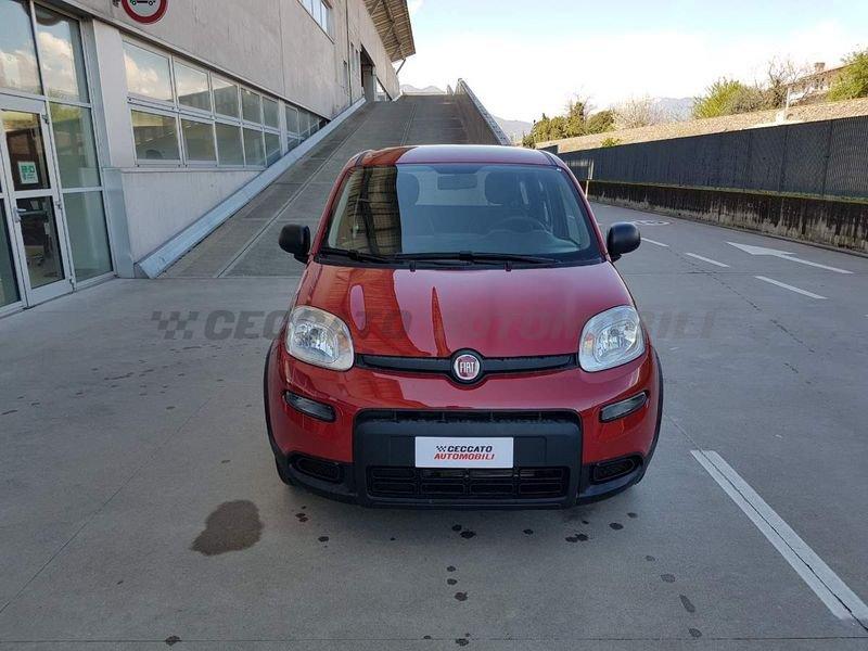 FIAT Panda My24 1.0 Hybrid 70cv