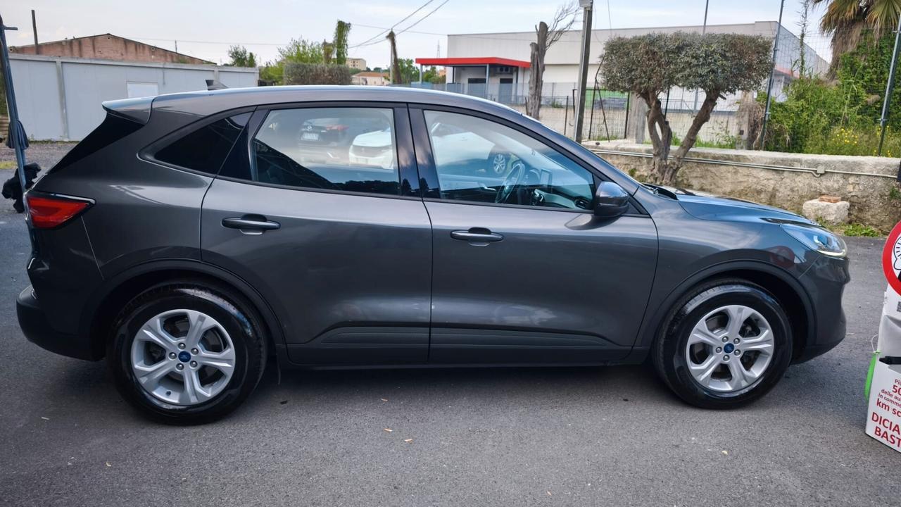 Ford Kuga 1.5 EcoBlue 120 CV aut. 2WD