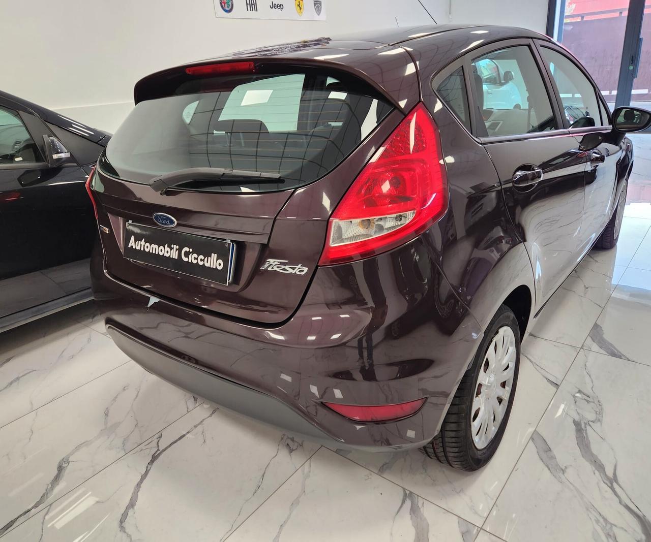 Ford Fiesta 1.4 TDCi 68CV 5 porte Titanium