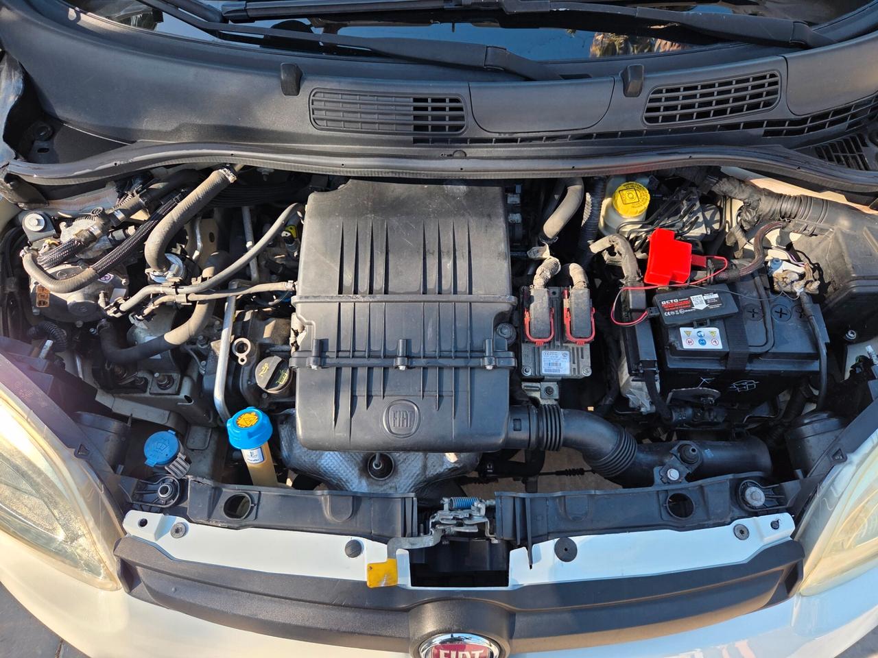 Fiat Panda 1.2 EasyPower Pop - 2013 REVISIONATA