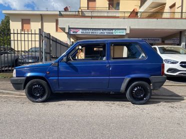 Fiat Panda 1100 i.e. cat College