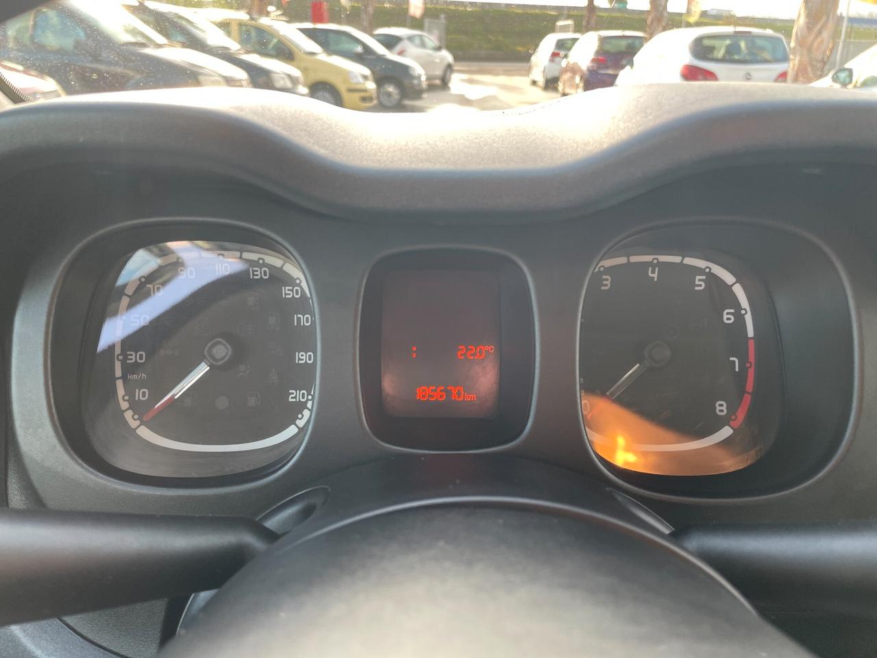 FIAT PANDA ANNO 2019 4x4 900 BENZINA *GRANDINATA