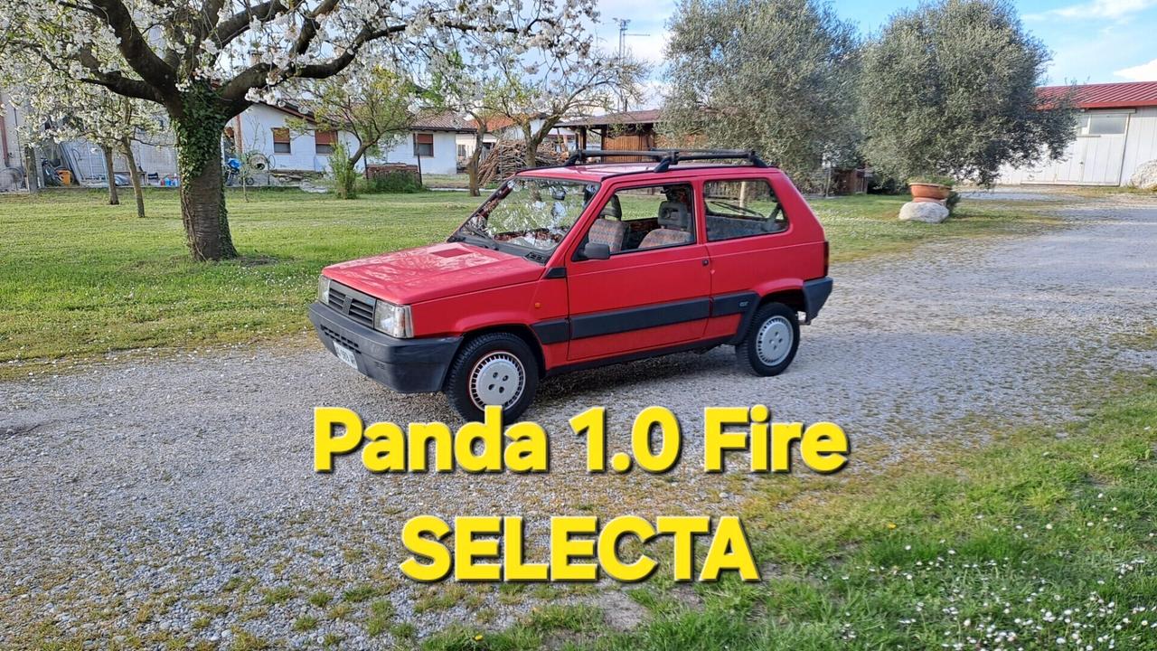 Fiat Panda 1100 i.e. cat Selecta