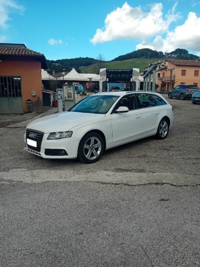 AUDI A4 Avant 2.0 TDI 120CV F.AP. Start Plus