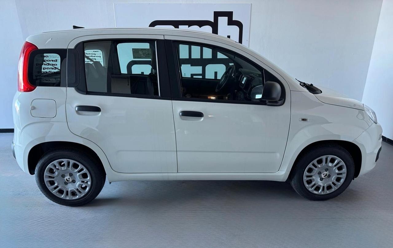 Fiat Panda KM0!! 1.0 Hybrid Icon
