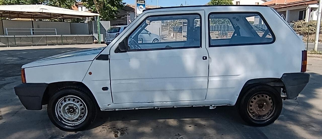 Fiat Panda 900 i.e. cat Young