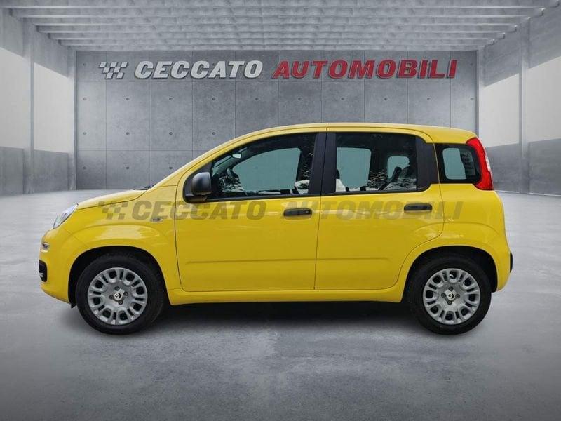 FIAT Panda Panda 1.0 70cv Hybrid Icon
