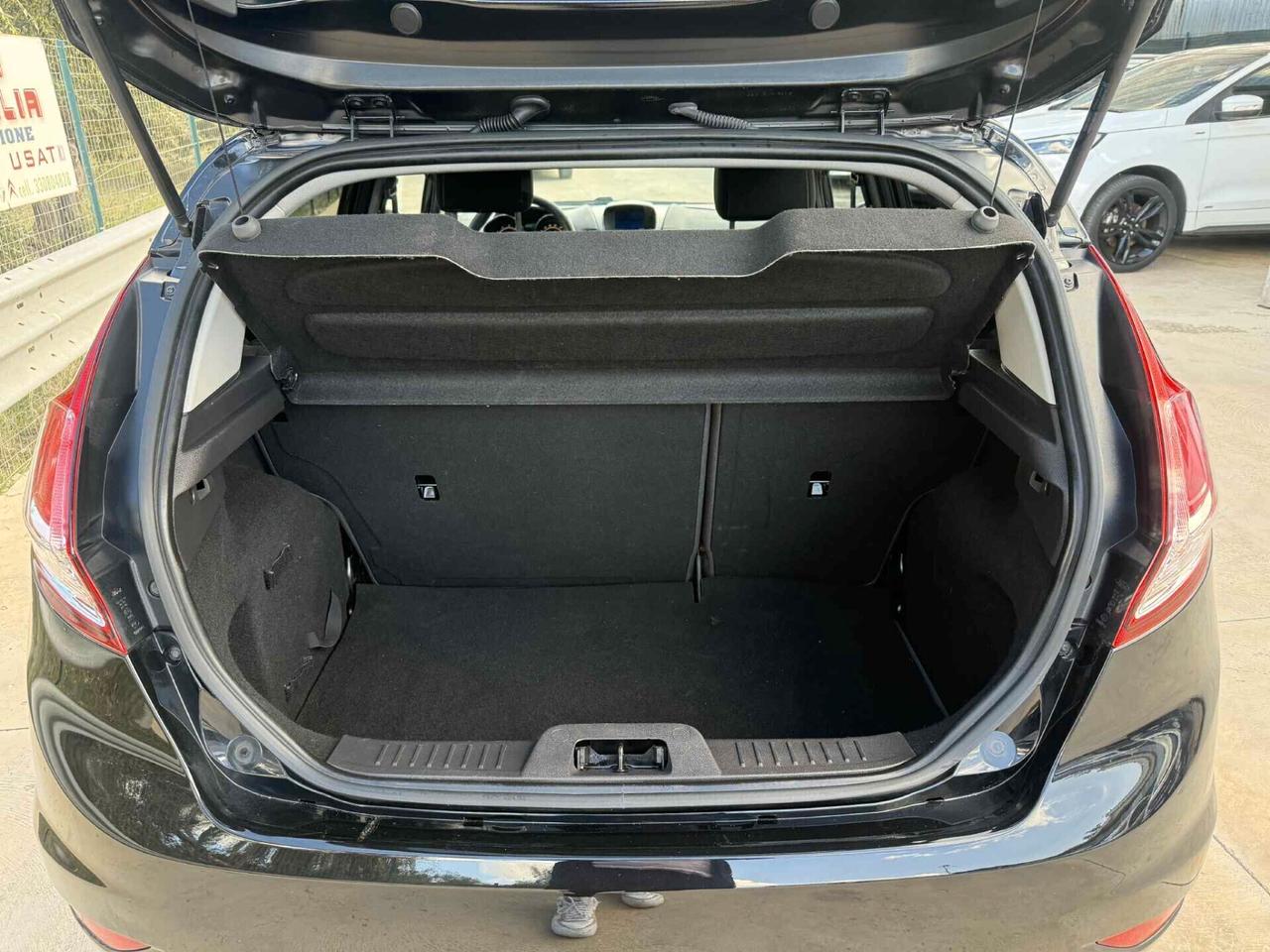 Ford Fiesta 1.4 5p. Bz.- GPL Titanium 163000KM 2013