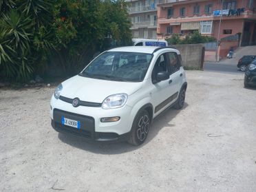 FIAT PANDA ANNO 2022 1000 BENZINA IBRIDA