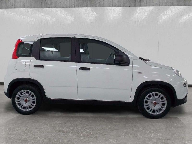 FIAT Panda 1.0 firefly hybrid s&s 70cv 5p.ti