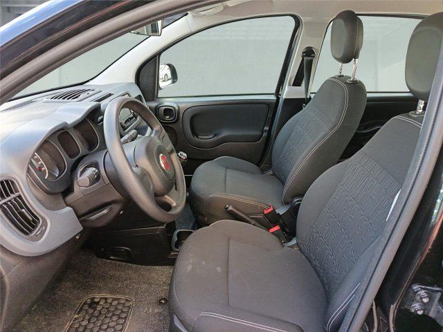 FIAT Panda 3ª serie 1.0 FireFly S&S Hybrid