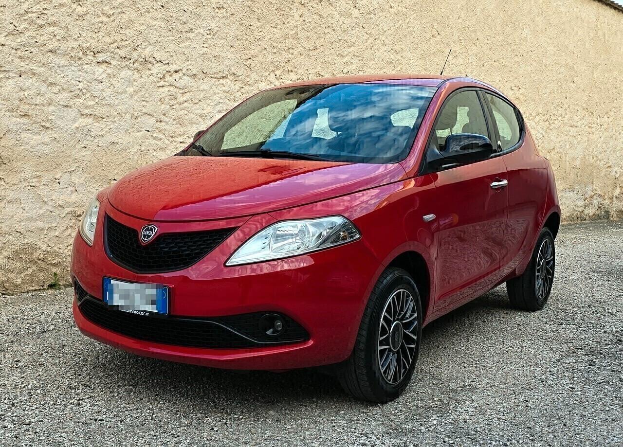 Lancia Ypsilon Gold 900Turbo 85cv 5 porte Ecochic