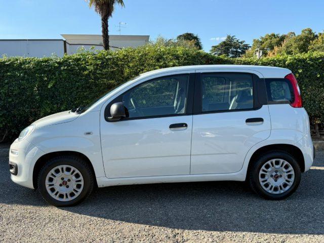 FIAT Panda 1.2 Easy NEOPATENTATI - CLIMA - RADIO - CD