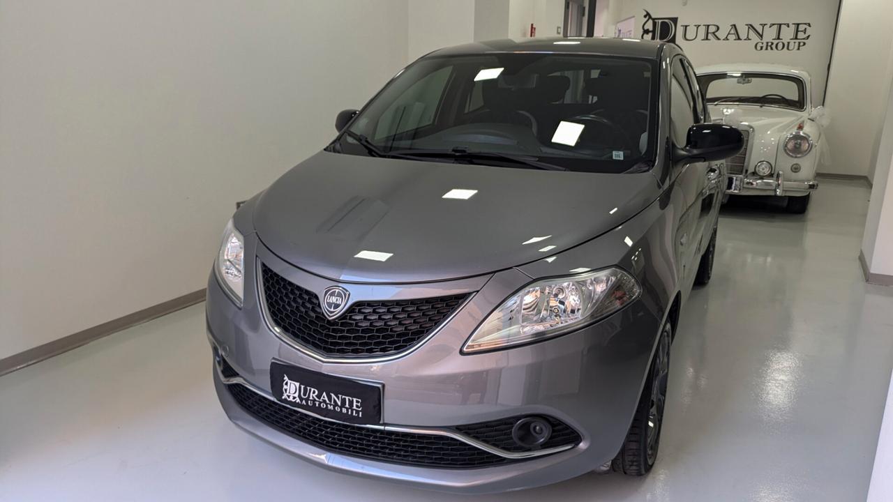 Lancia Ypsilon 1.3 MJT 16V 95 CV 5 porte S&S Platinum