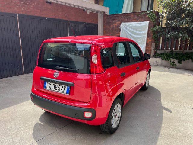 FIAT Panda 1.2 Easy unico proprietario