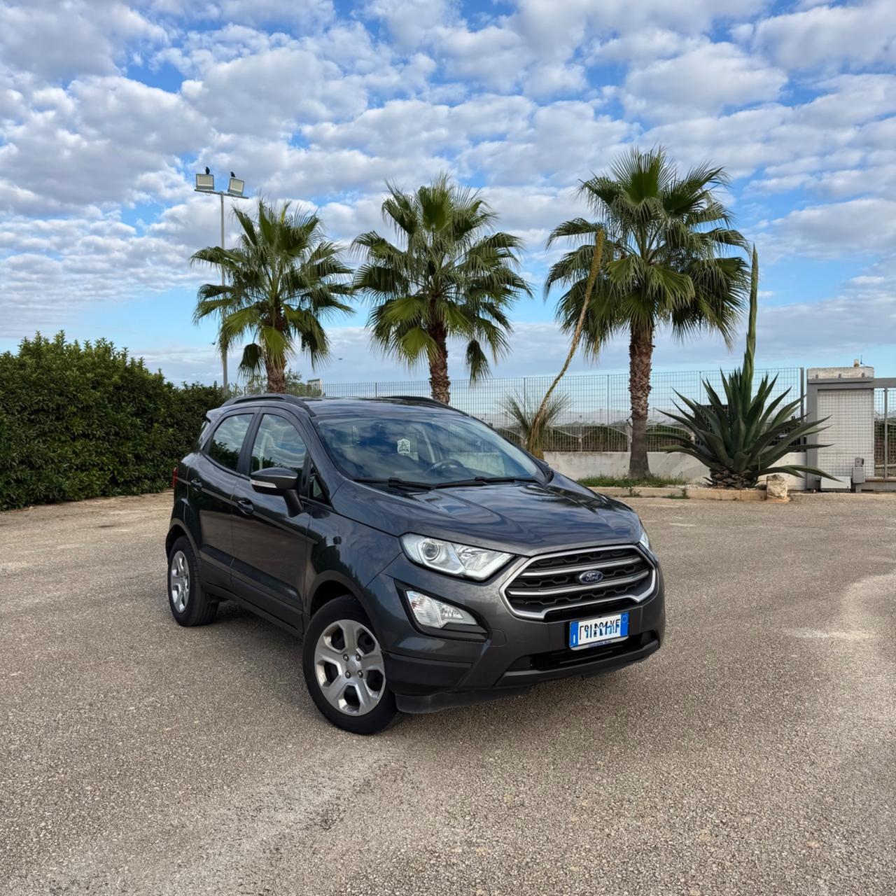 Ford EcoSport 1.0 EcoBoost 125 CV Start&Stop aut. Business