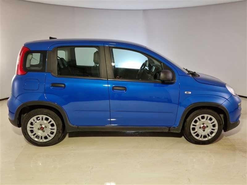 FIAT PANDA 1.0 FireFly 70cv S/S Hybrid 5 PORTE