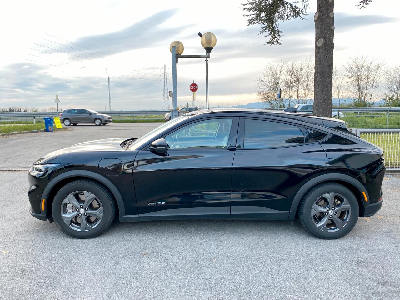Ford Mustang Mach-e standard range rwd 269cv auto